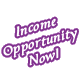 Income Opportunity Now