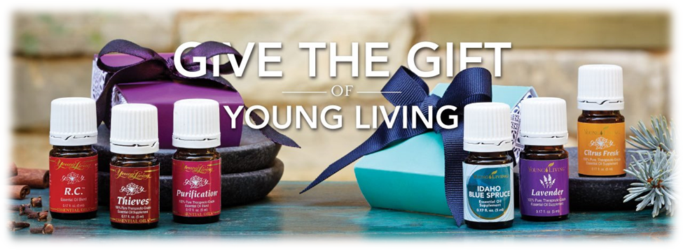 Holiday Catalog 2013