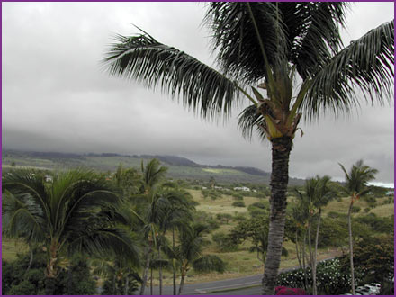 Young Living Leadership Training 2004